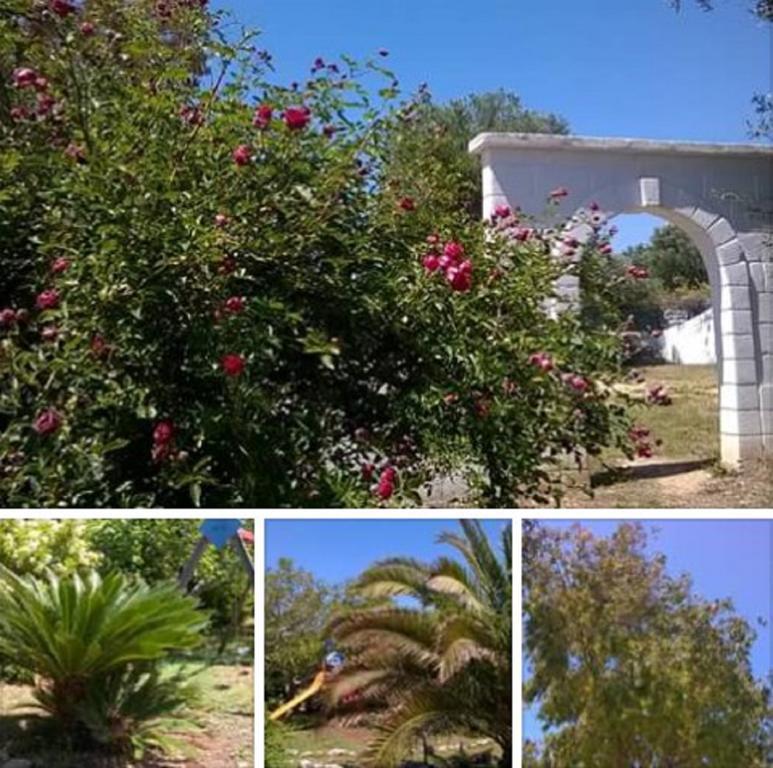 Trulli Aurasia Ostuni Eksteriør billede
