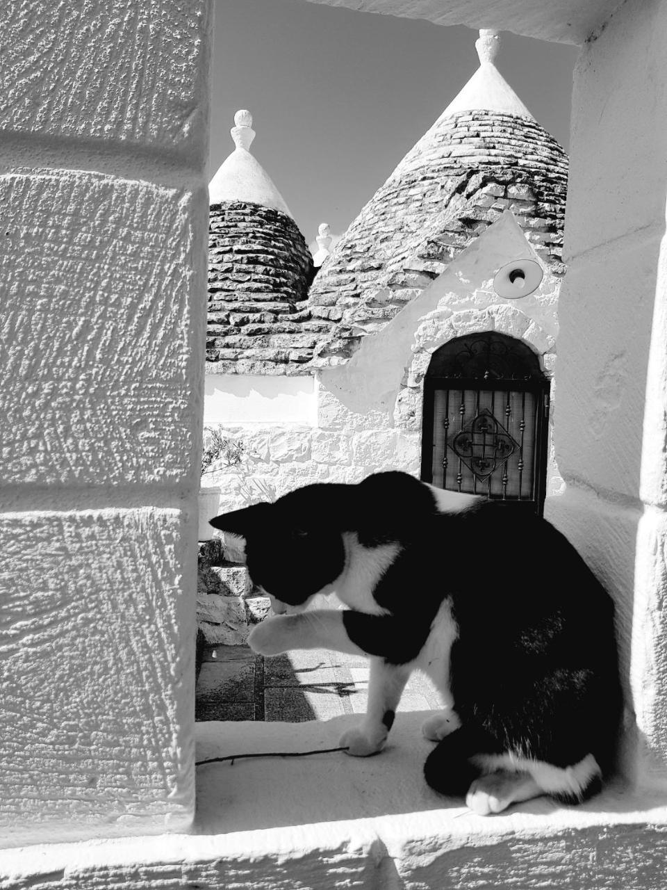 Trulli Aurasia Ostuni Eksteriør billede