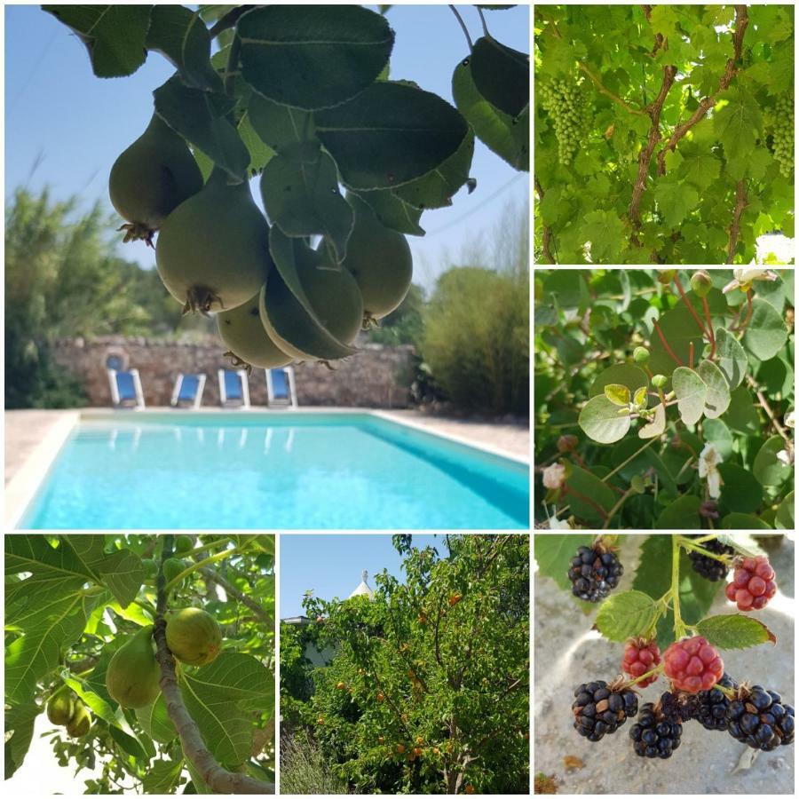 Trulli Aurasia Ostuni Eksteriør billede